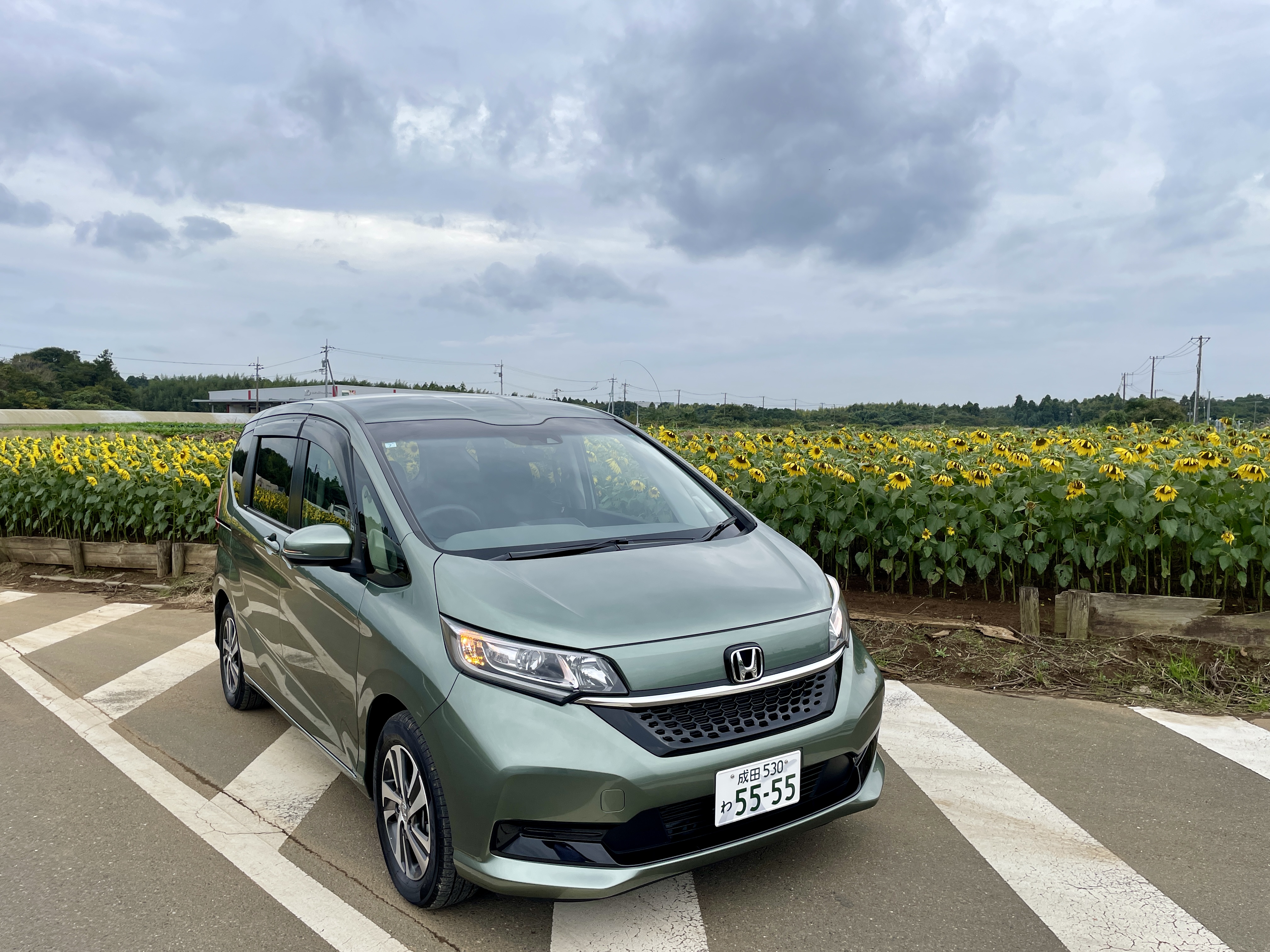 Honda Freed 5人座-野戰綠①
